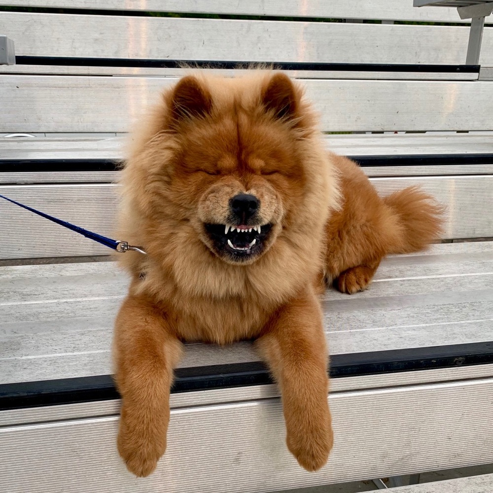 Meet your Posher, Mr Subero